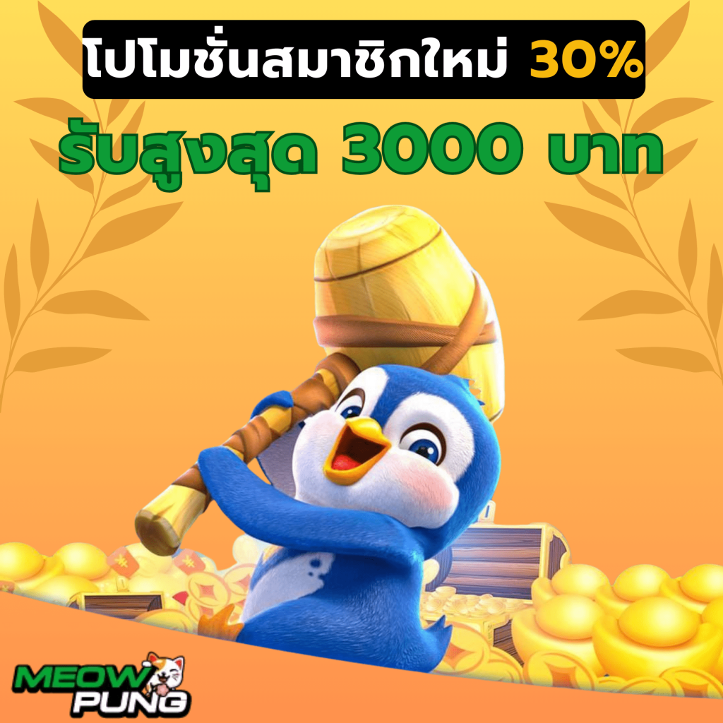 โปรโมชั่นสมาชิกใหม่-meowpung